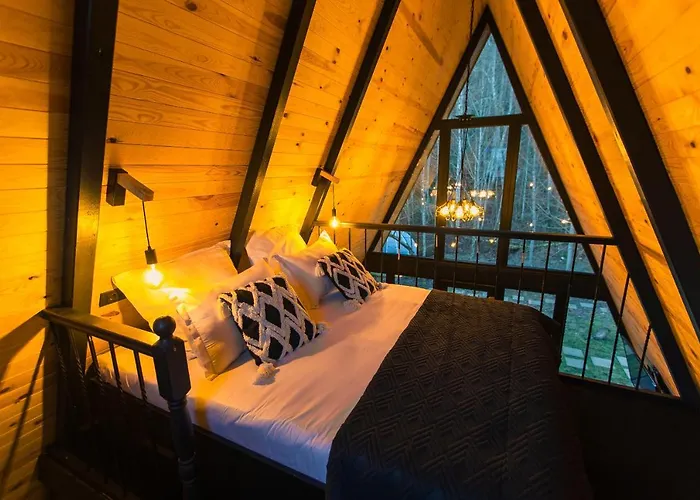 The Palo Cabins